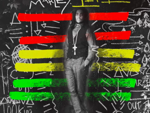 Help Us Create the Lyric Video for Skip Marley’s New Track “Life”