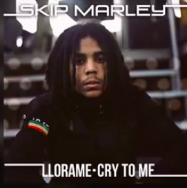 Cry To Me Kustom Mike Mix